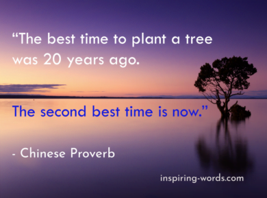 Read more about the article The best time to plant a tree was 20 years ago. The second best time is now – Chinese Proverb