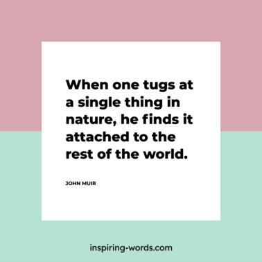 Read more about the article When one tugs at a single thing in nature, he finds it attached to the rest of the world – John Muir